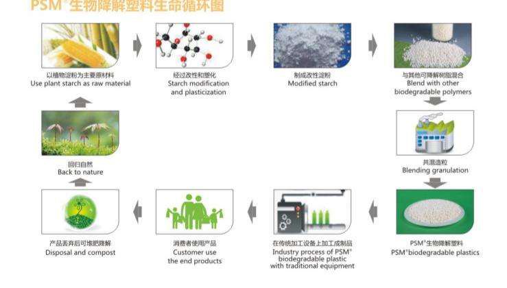 生物降解循环图